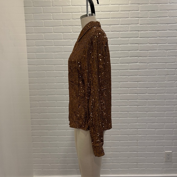 ZARA Copper Sequin Blouse - Picture 3 of 7